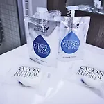 فندق Ibis Styles Bordeaux Arena 3*