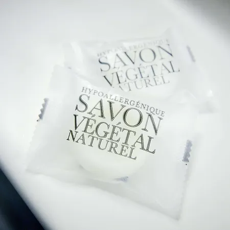 Ibis Styles Bordeaux Arena מלון 3*